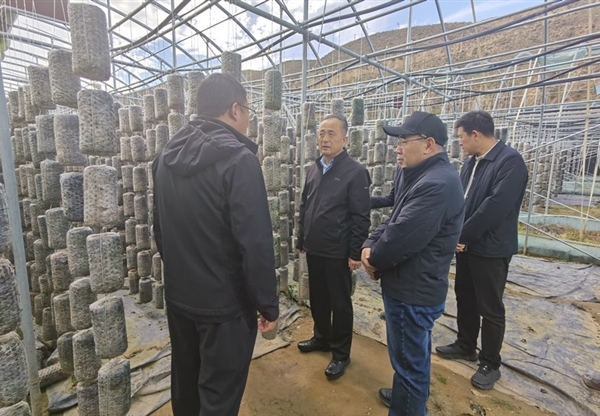 甘肅工程咨詢集團(tuán)赴卓尼縣開(kāi)展鄉(xiāng)村振興幫…